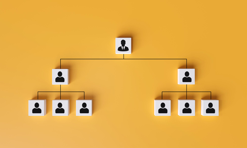 estrutura organizacional,modelos
